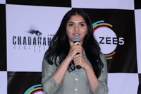 Celebs at Chadarangam Web Series Screening Press Meet